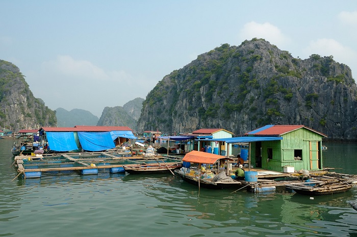 Village Van Gia Maison flottant Tien Baie d'Halong croisière 3 jours 2 nuits